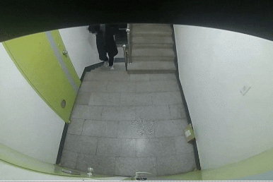택배 도난, 복도 CCTV, 감시카메라, 현관 CCTV, CCTV 열람